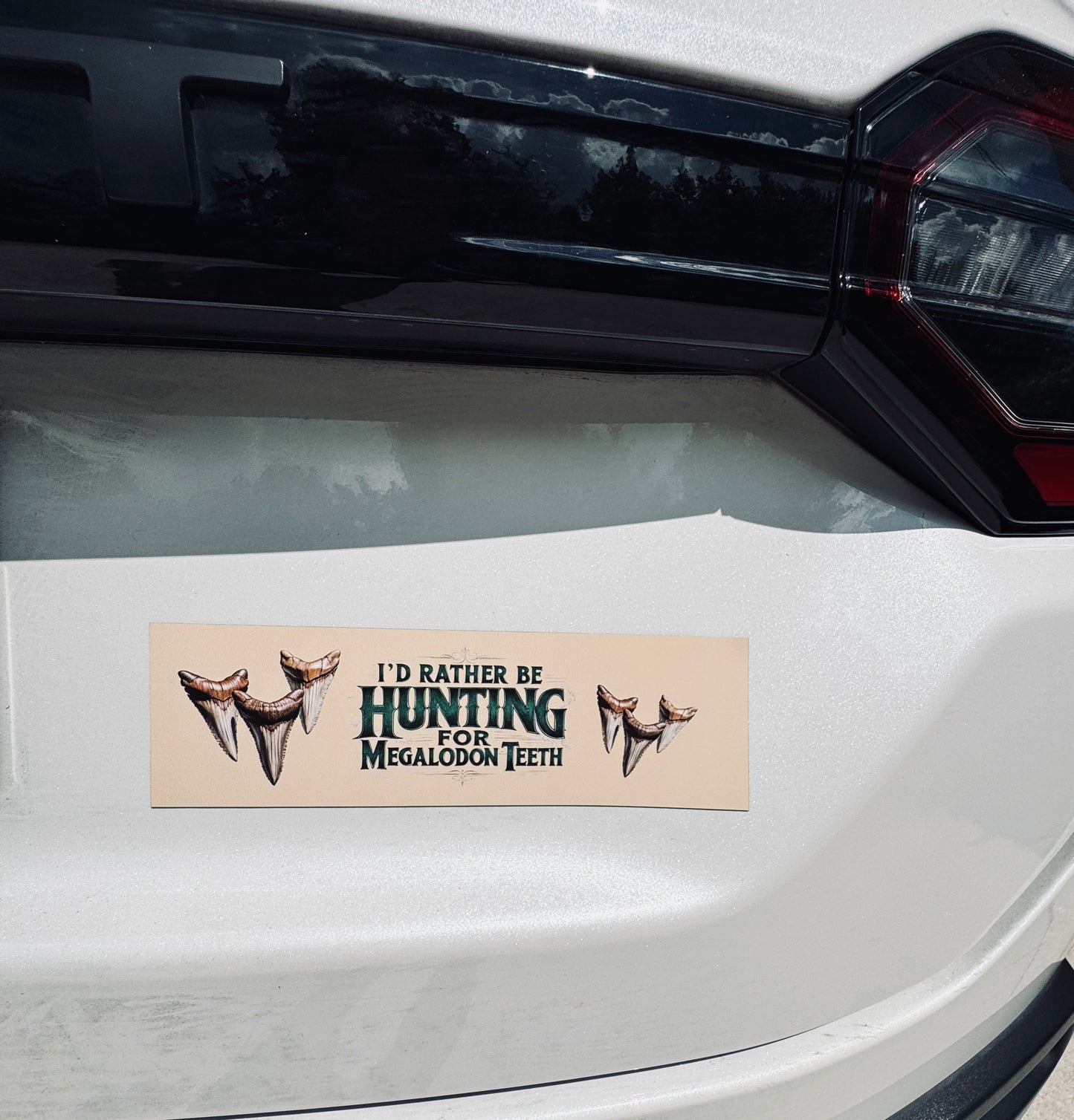 I'd Rather be Hunting for Megalodon Teeth Car Magnet