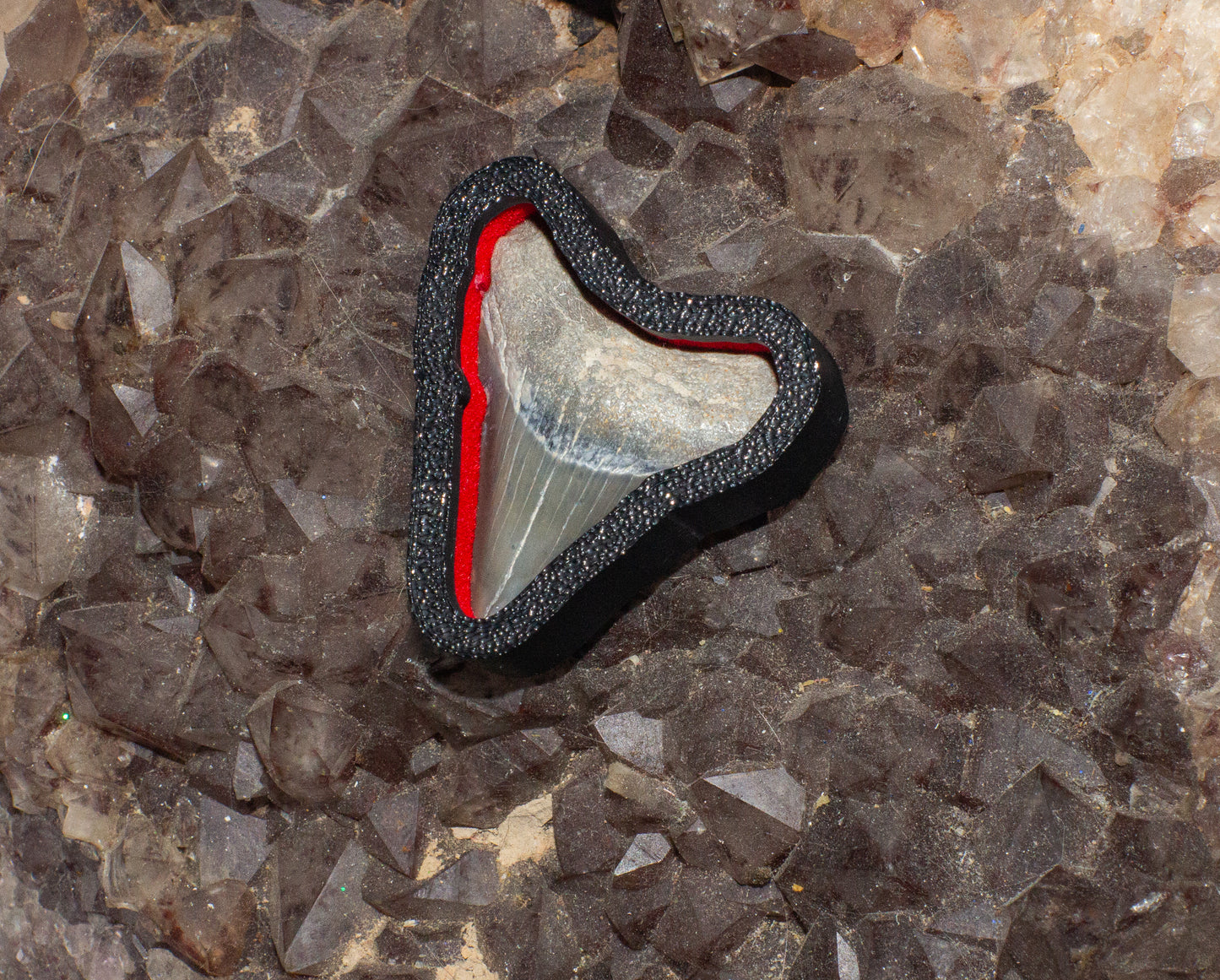 Small Black Case / Red Felt