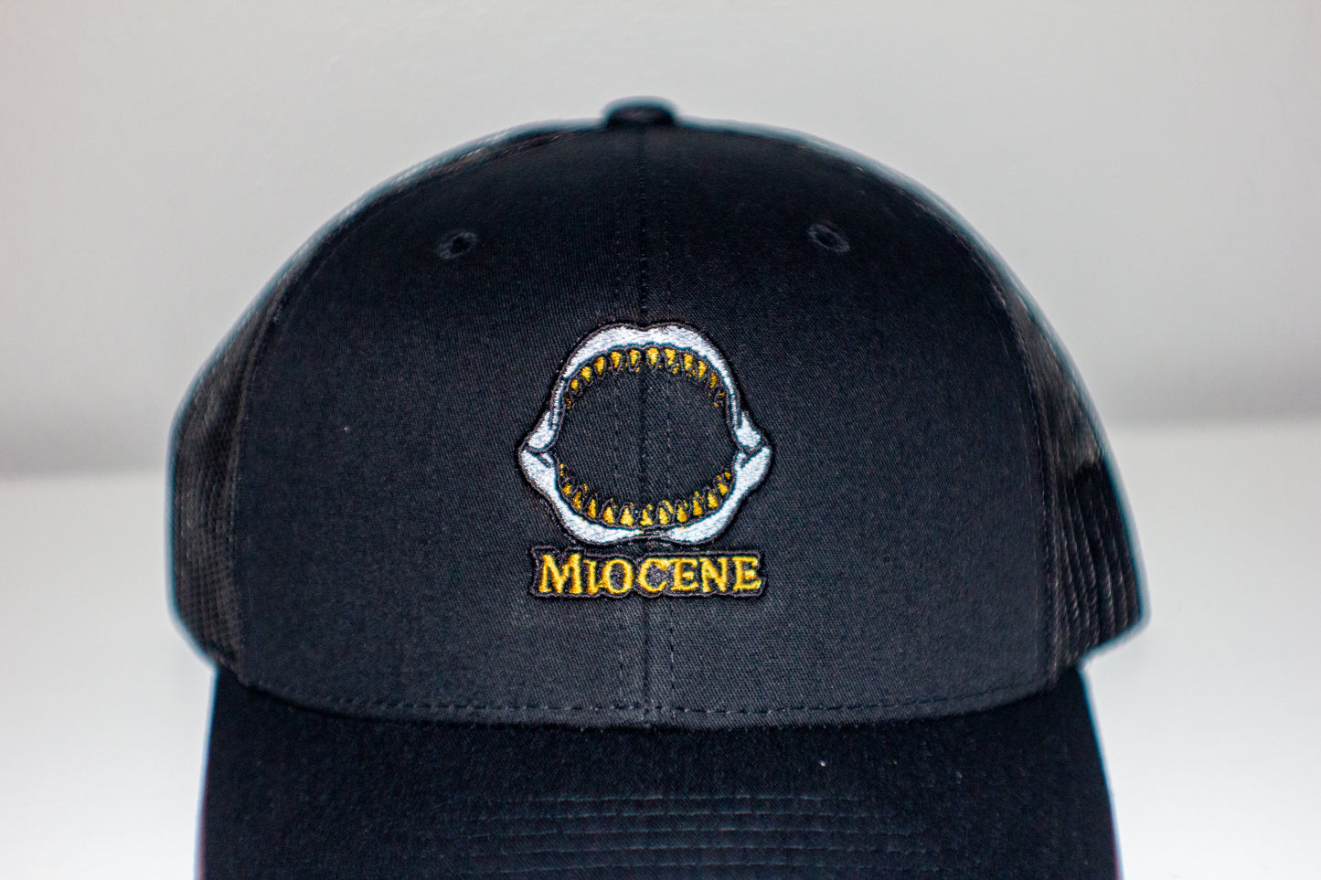 Miocene Meg Jaw Snap Back