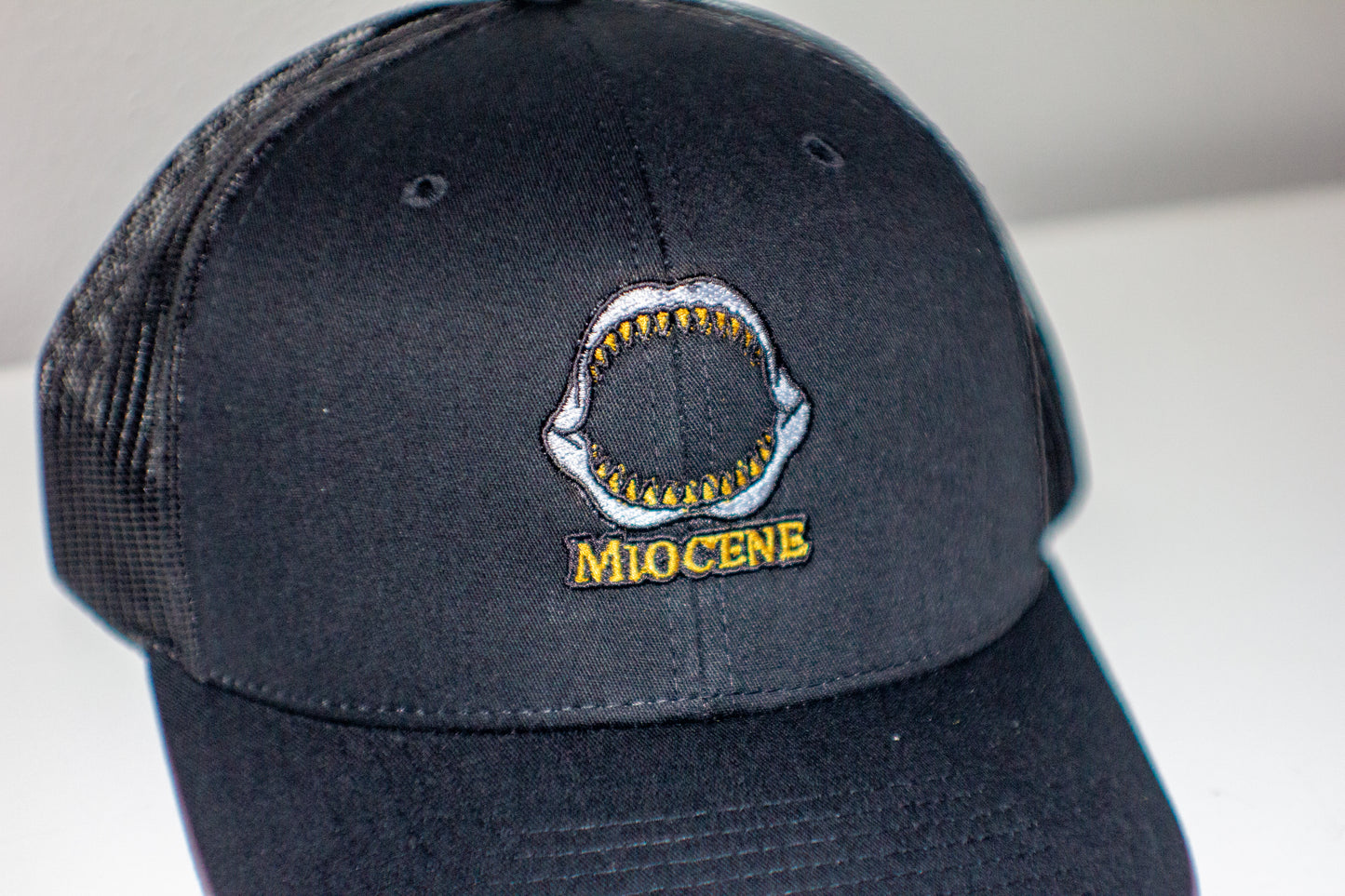 Miocene Meg Jaw Snap Back