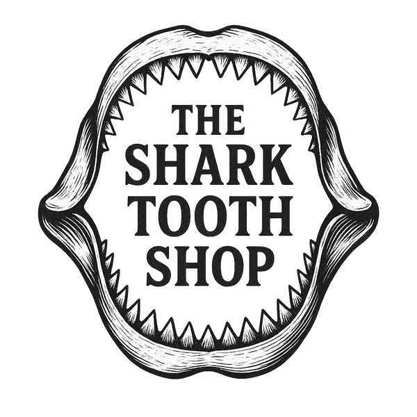 The Shark Tooth Shop