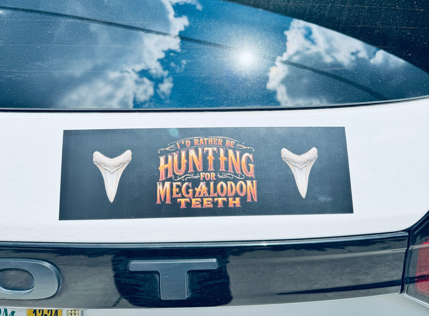 I'd Rather be Hunting for megalodon Teeth Car Magnets