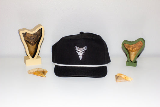 Meg Tooth Snap Back