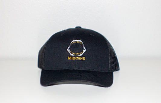 Miocene Meg Jaw Snap Back