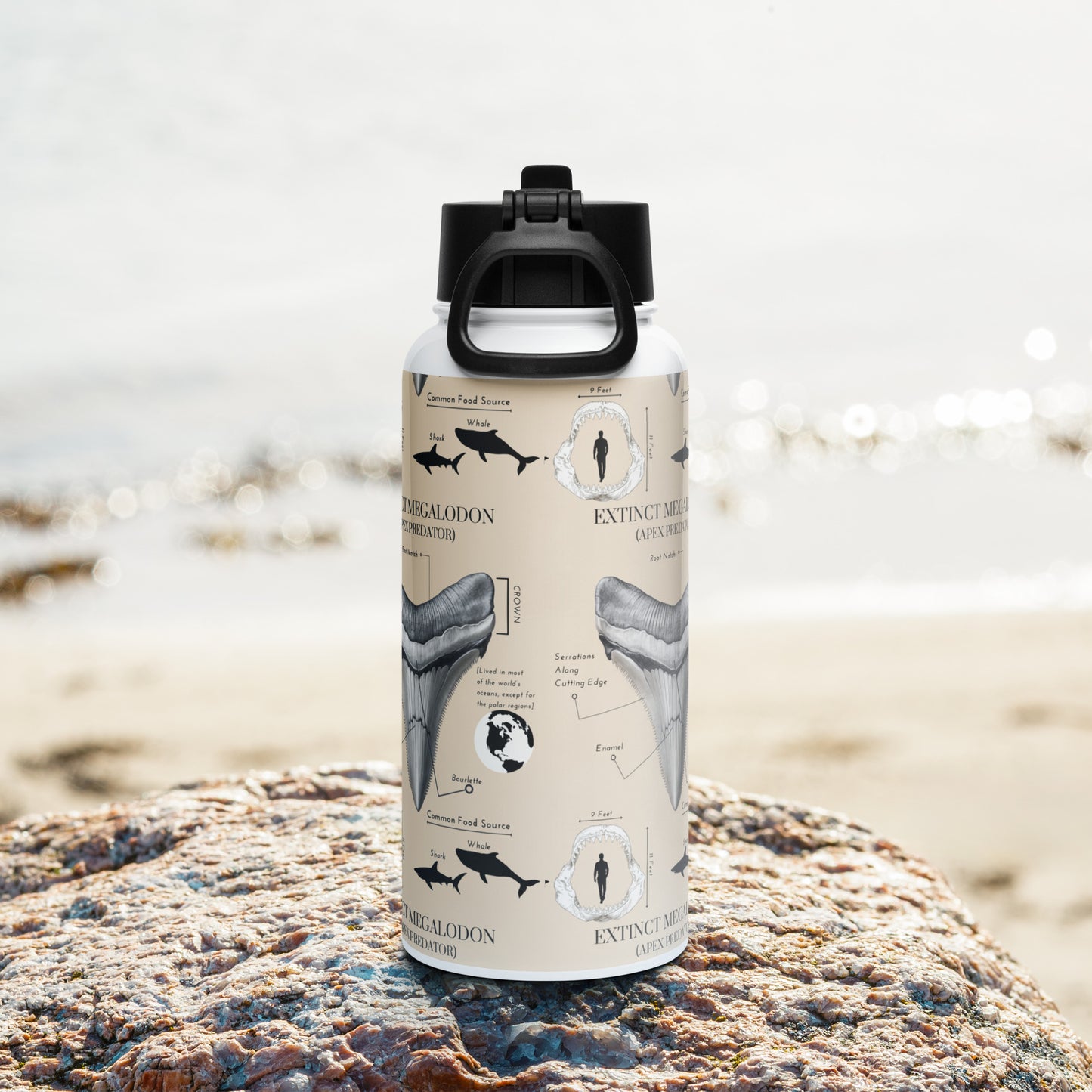 Megalodon Tooth Diagram Stainless steel water bottle (with a straw lid)