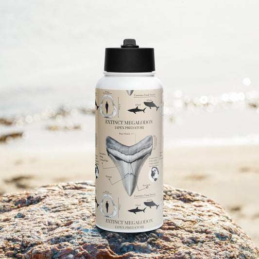 Megalodon Tooth Diagram Stainless steel water bottle (with a straw lid)