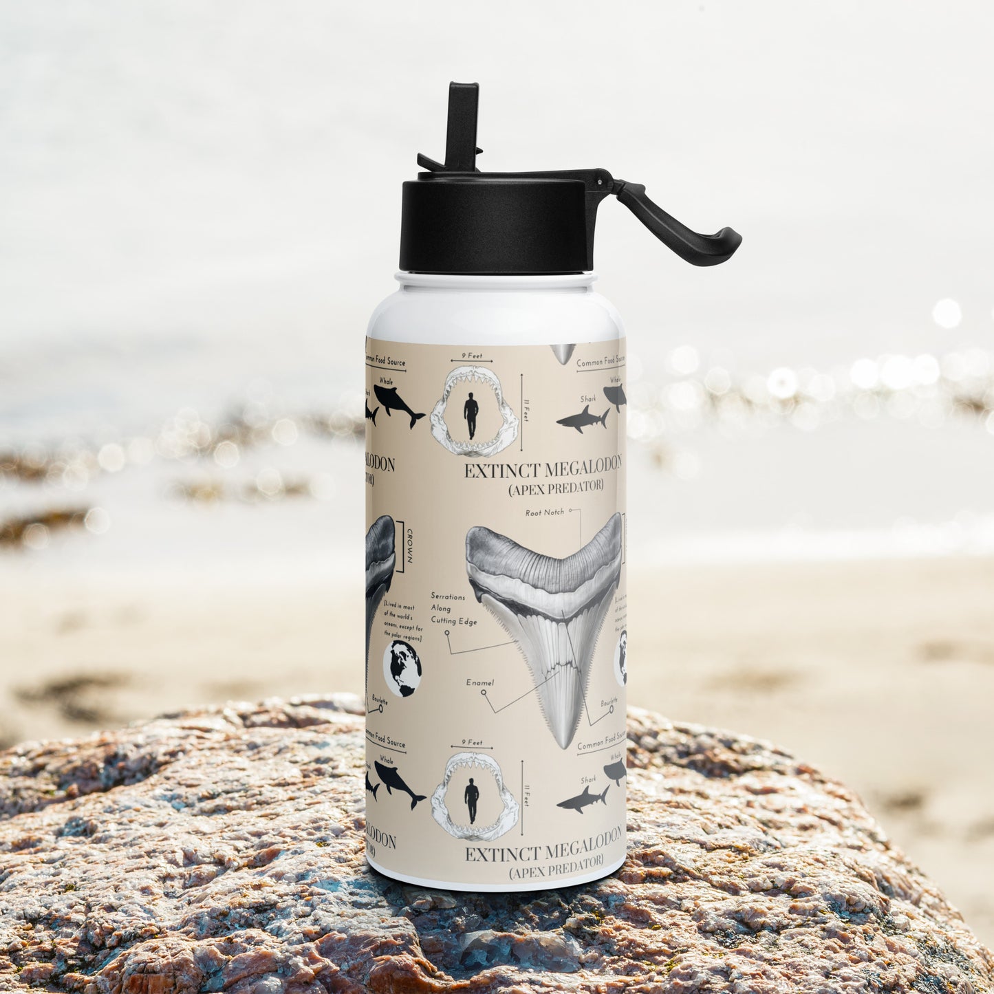 Megalodon Tooth Diagram Stainless steel water bottle (with a straw lid)